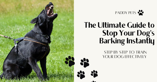 The Ultimate Guide to Stop Your Dog's Barking Instantly!