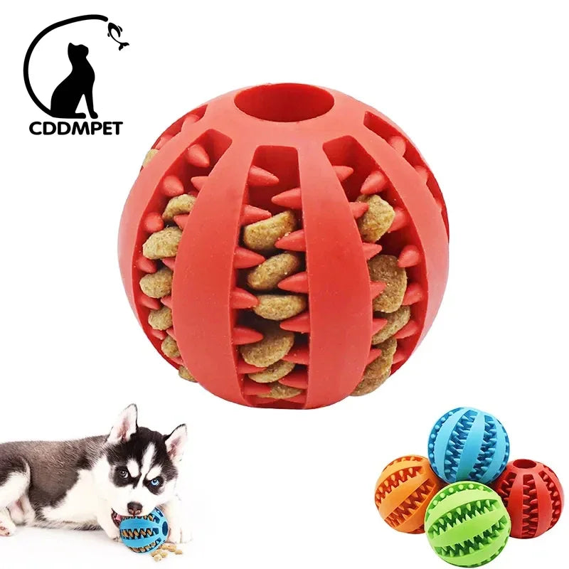 Interactive Dog Ball Toy – Elastic Rubber Chew Toy for Small Dogs, Tooth Cleaning & Food Dispensing Accessory