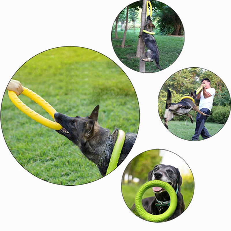 Durable Dog Flying Disk & Training Ring – Interactive, Anti-Bite, Floating Toy for Aggressive Chewers