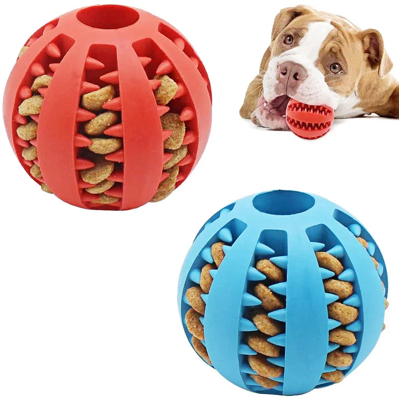 Interactive Dog Ball Toy – Elastic Rubber Chew Toy for Small Dogs, Tooth Cleaning & Food Dispensing Accessory