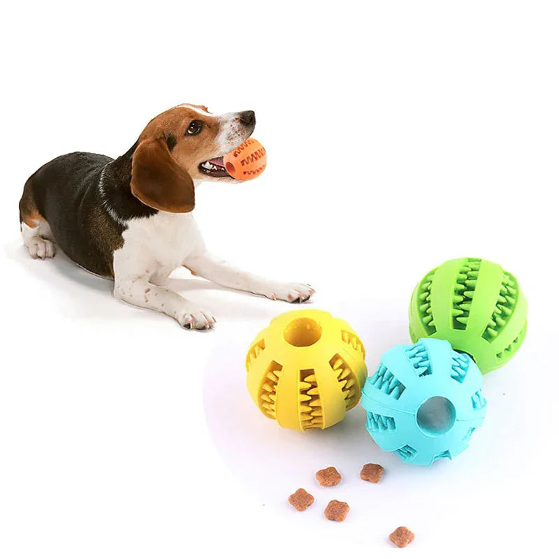 Interactive Dog Ball Toy – Elastic Rubber Chew Toy for Small Dogs, Tooth Cleaning & Food Dispensing Accessory