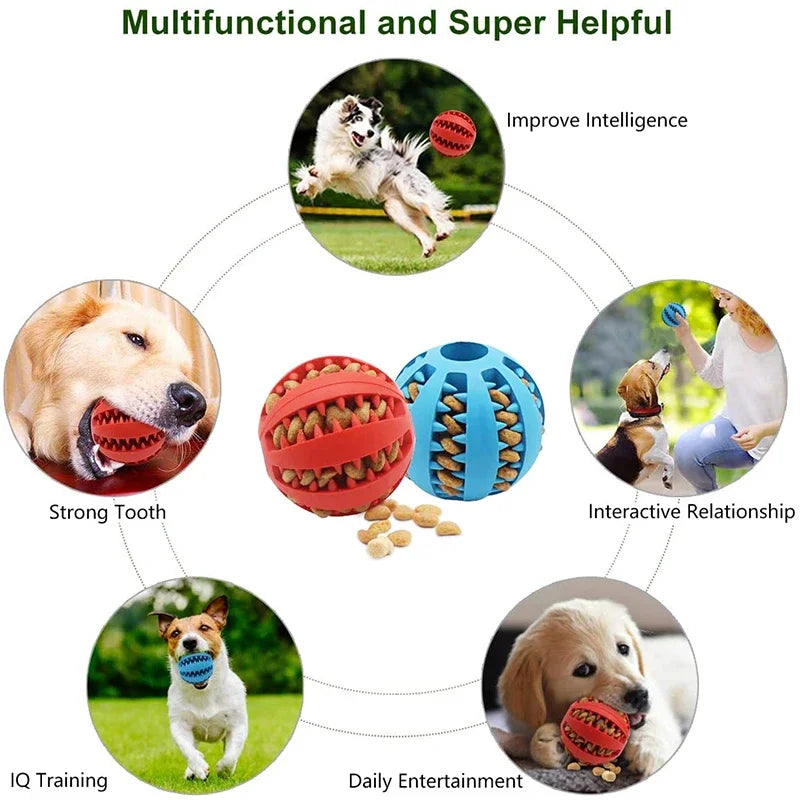 Interactive Dog Ball Toy – Elastic Rubber Chew Toy for Small Dogs, Tooth Cleaning & Food Dispensing Accessory