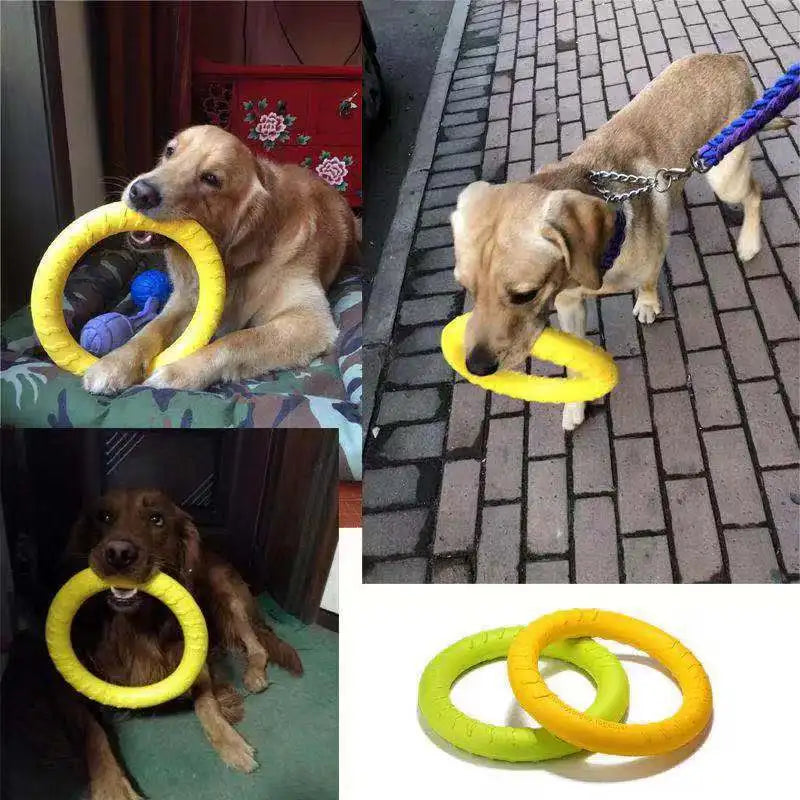 Durable Dog Flying Disk & Training Ring – Interactive, Anti-Bite, Floating Toy for Aggressive Chewers