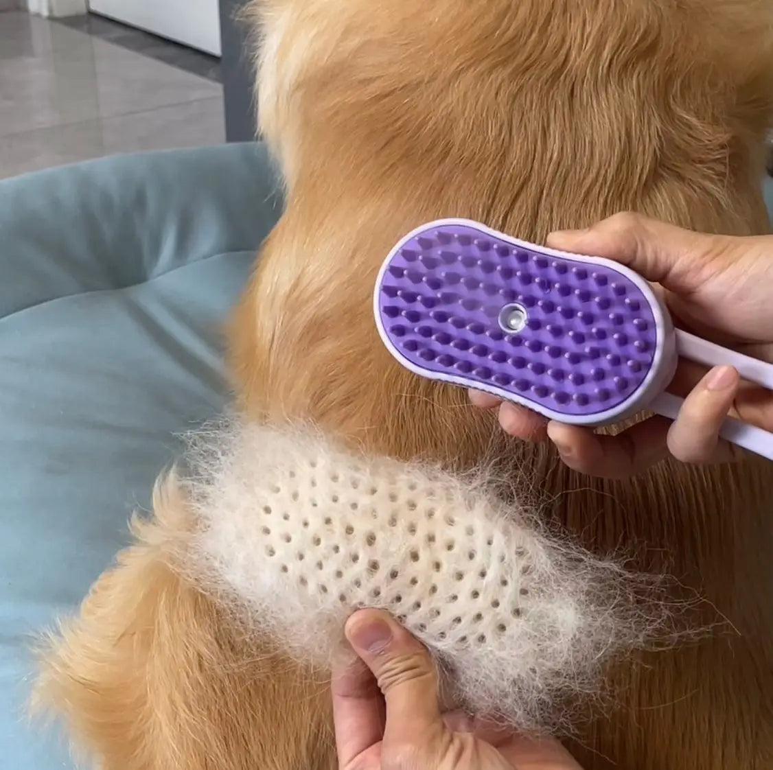 Electric Pet Spray Comb for Cats and Dogs – Hair Removal and Anti-Flying Massage Brush with One-Key Spray